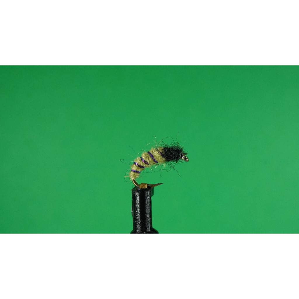 Green Caddis Pupa -- Nymph Fly Fishing