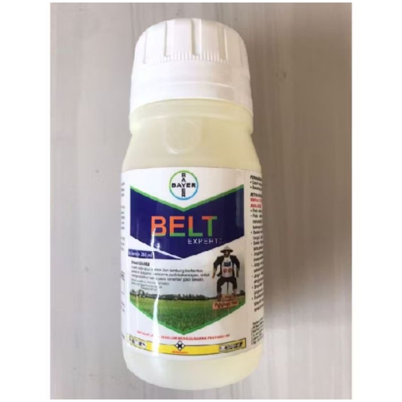 BELT EXPERT 480SC 250ML