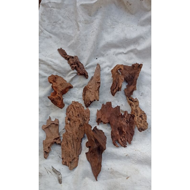 kayu rentek  mini 10 pics