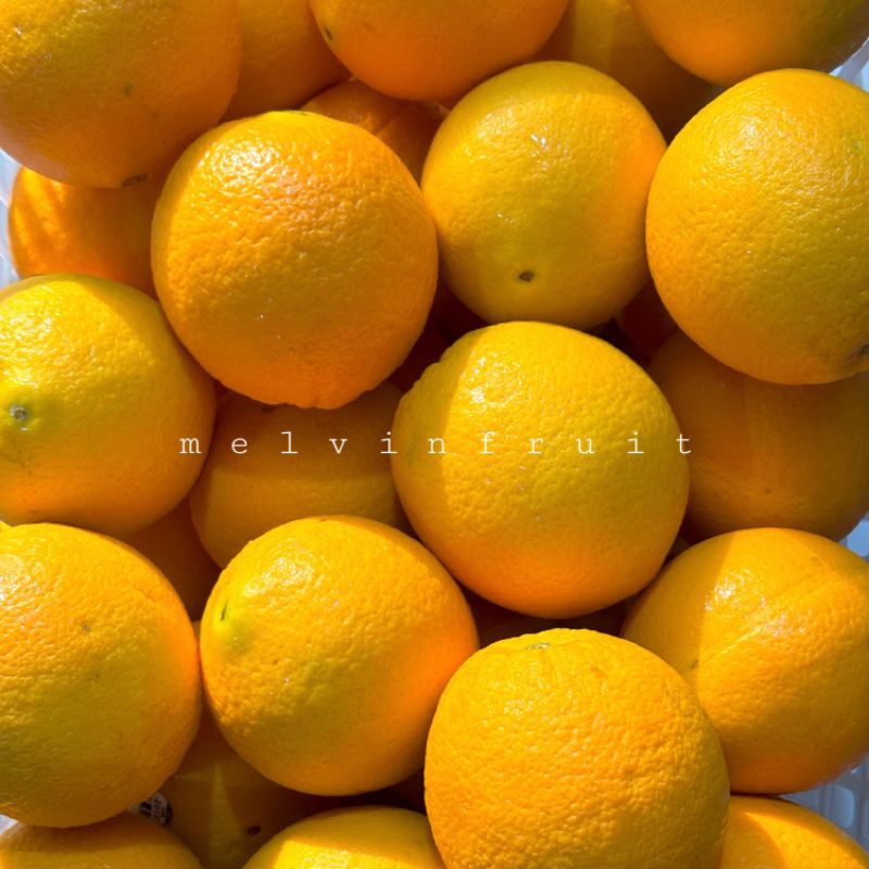 

Jeruk Navel fresh