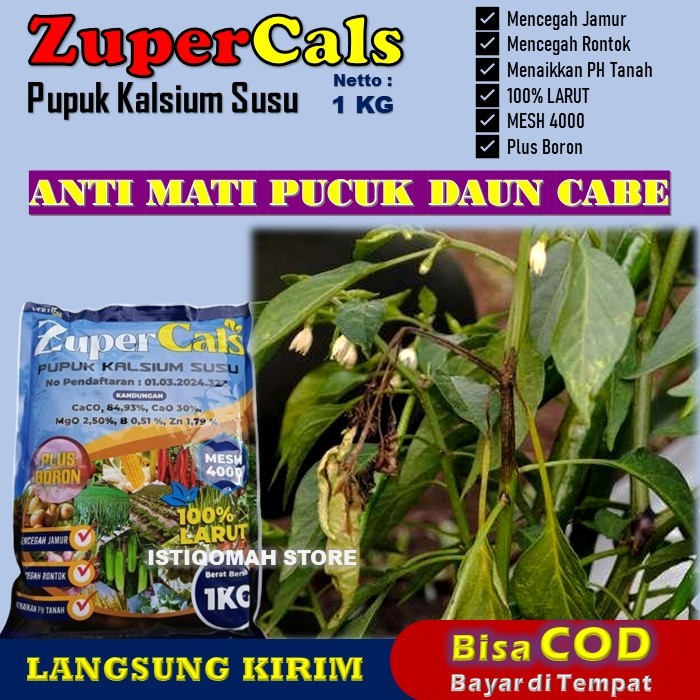 ZUPERCALS 1 KG Pupuk Kalsium Susu Anti Mati Pucuk Daun Cabe, Pupuk Kalsium Cair, Cegah Daun Keriting