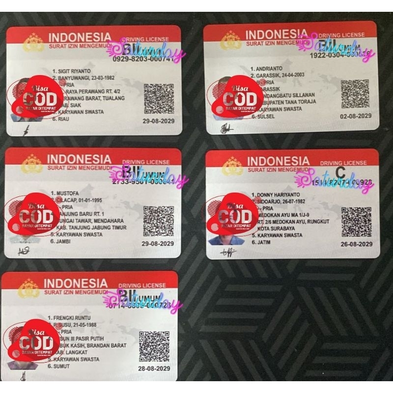 

case pelindung kartumu