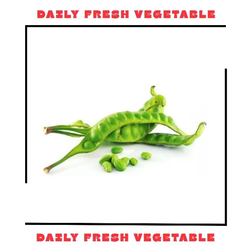 

Petai Pete Fresh 1 Papan