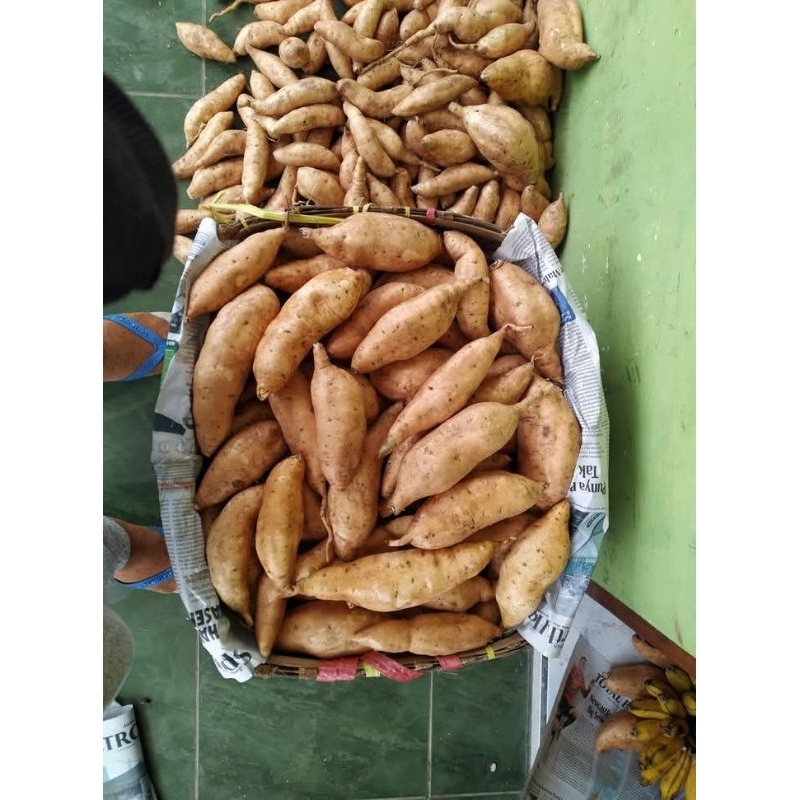 

Ubi cilembu asli