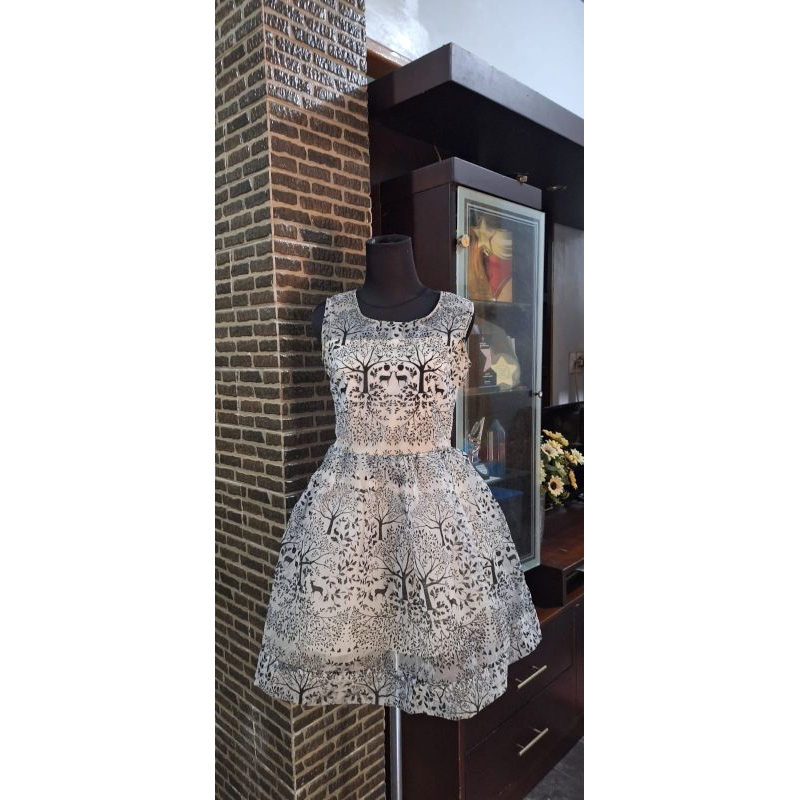 Mini dress/Dress party/ Dress organza