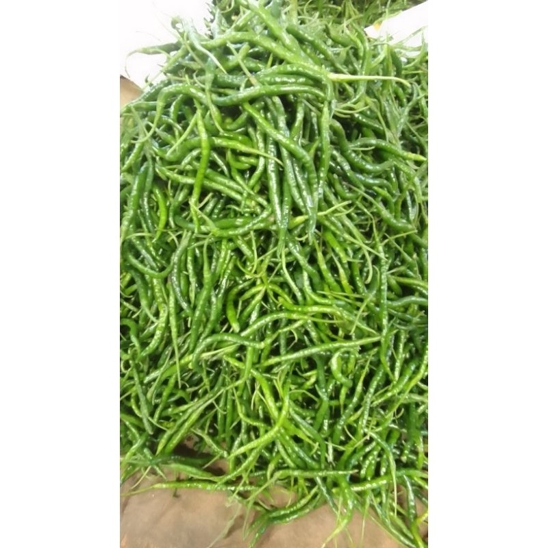 

Cabai ijo kriting 500 gr fresh