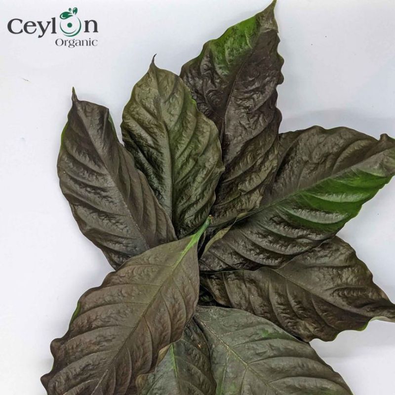 

jual teh daun kopi Bakar organik,teh daun kopi aroma harum,teh daun kopi Bakar terlaris