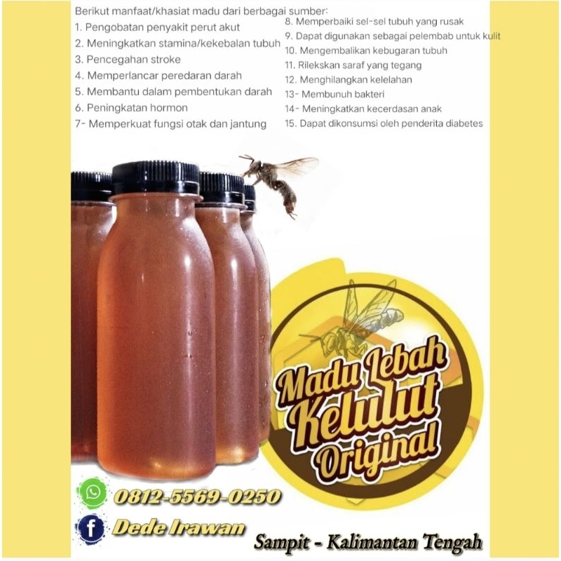 

Madu Kelulut / Klanceng