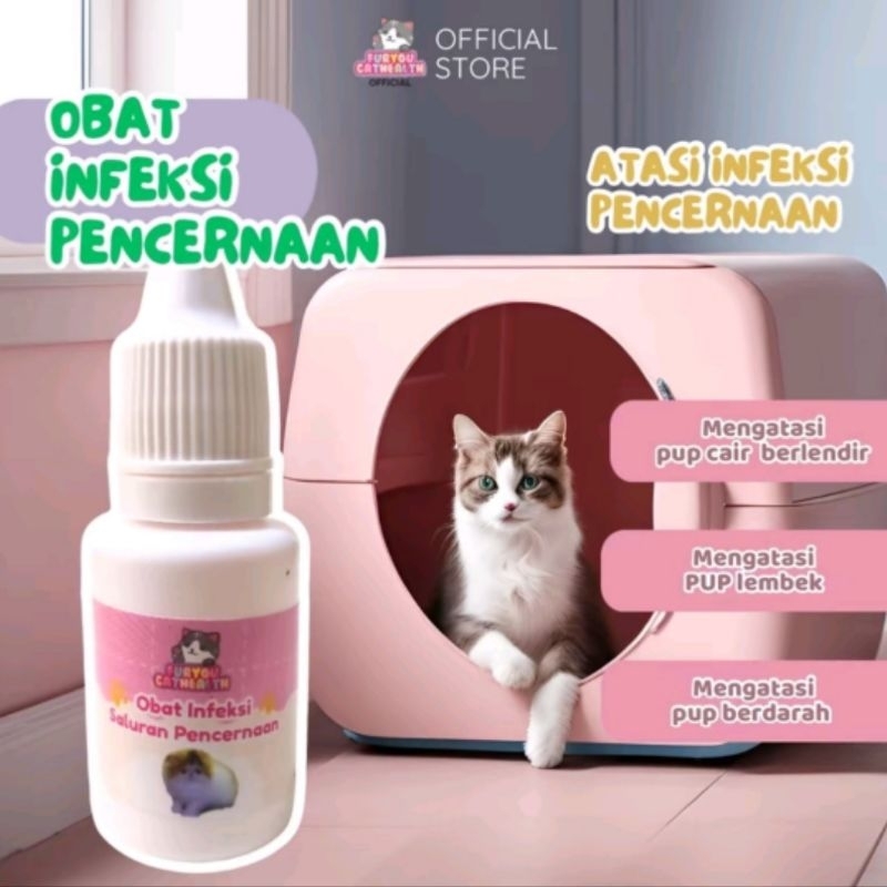untuk bab  pup berdarah berlendir pada kucing anabul diare