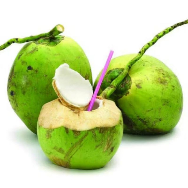

degan segar. kelapa muda murah. degan utuh per buah.
