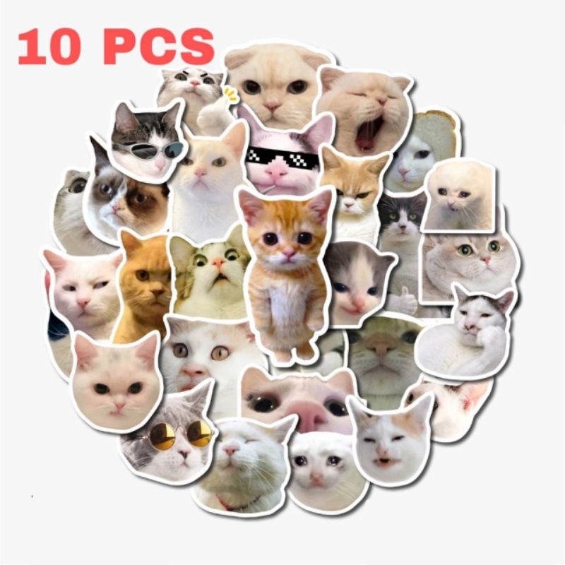 

10pcs MEME KUCING STICKER VYNIL WATERPROOF KEKINIAN STIKER LAPTOP HELM TUMBLR HP SKENA