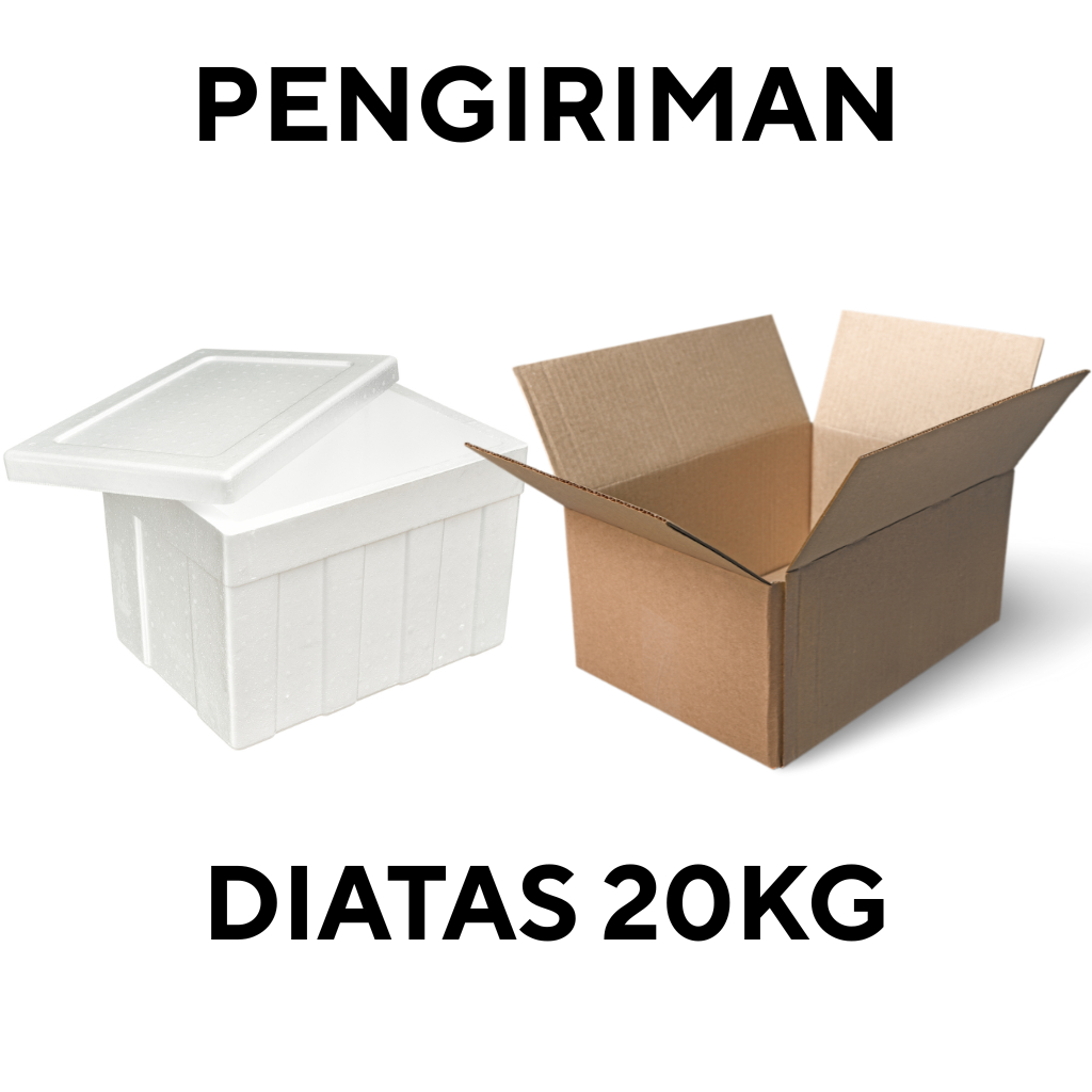 

BOX/KARDUS/KOTAK PENGIRIMAN DIATAS 20KG BANDUNG INDONESIA | CHECKOUT | PROMO