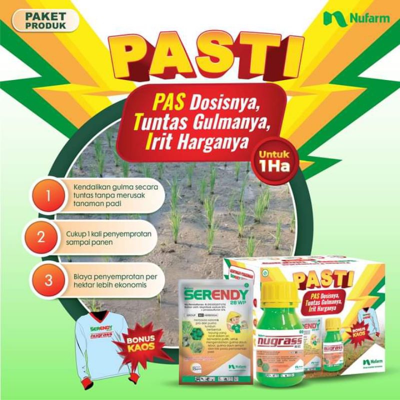 Copack Serendy Nugrass