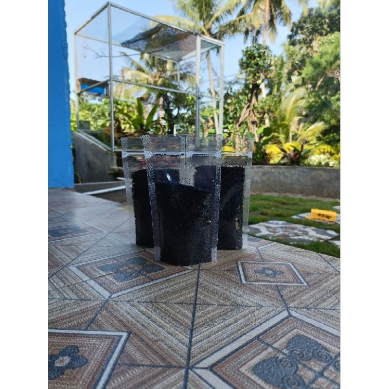 

jinten hitam kemasan 500g/ Habbatassauda/ herbal alami