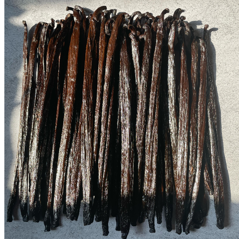 

Vanilla Bean Gourmet Planifolia Grade A Premium - 100g