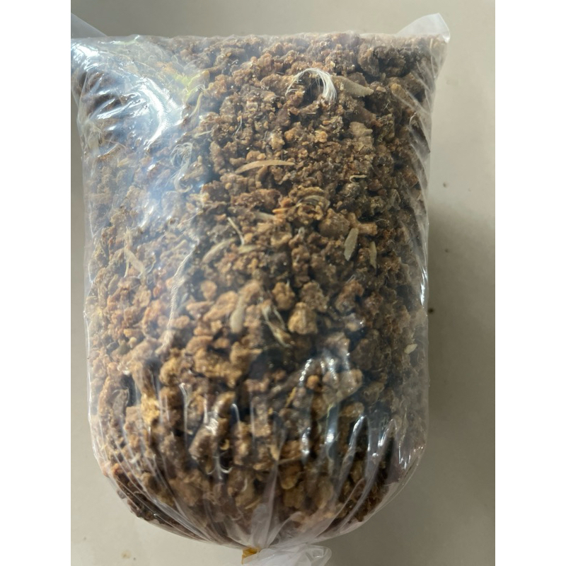 

Daging Ayam Rebus Giling kering 500 gr untuk hewan peliharaan atau ternak