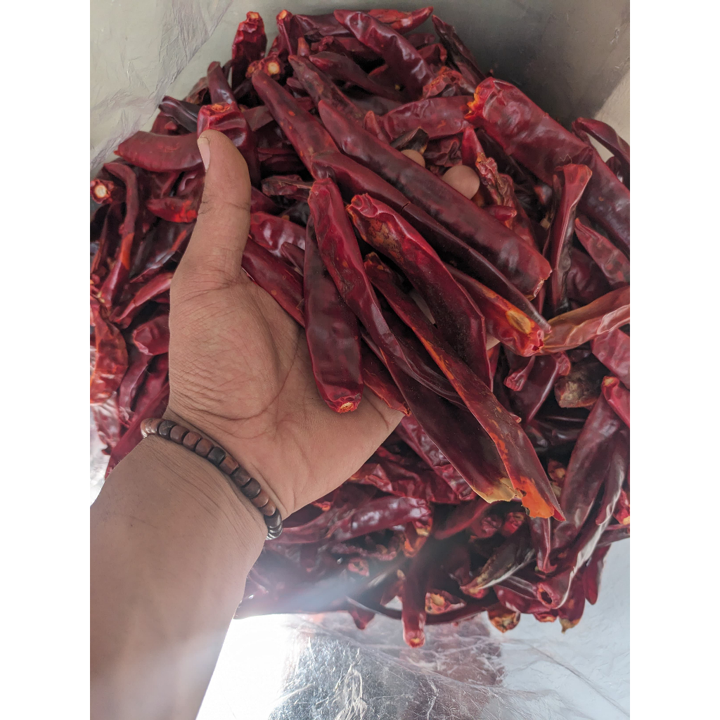 

CABE BESAR WONDERHOT KERING TIDAK PEDAS BERSIH TANPA TANGKAI