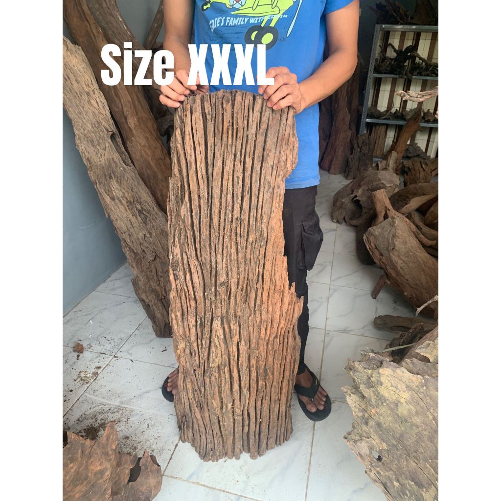 Kayu Rentek XXXL - Kayu Rentek - Hiasan Ruangan, Aquarium, Paludarium, Taman dll