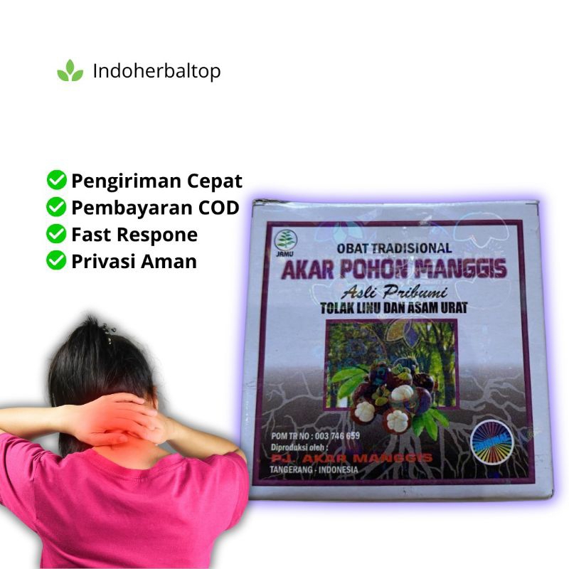 

akar pohon manggis original