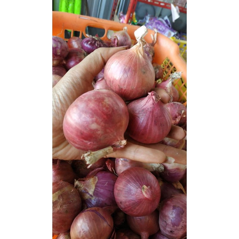 

Bawang Merah India 1kg segar