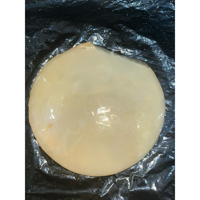 

Scoby Kombucha Segar