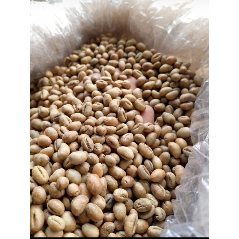 

robusta lanang