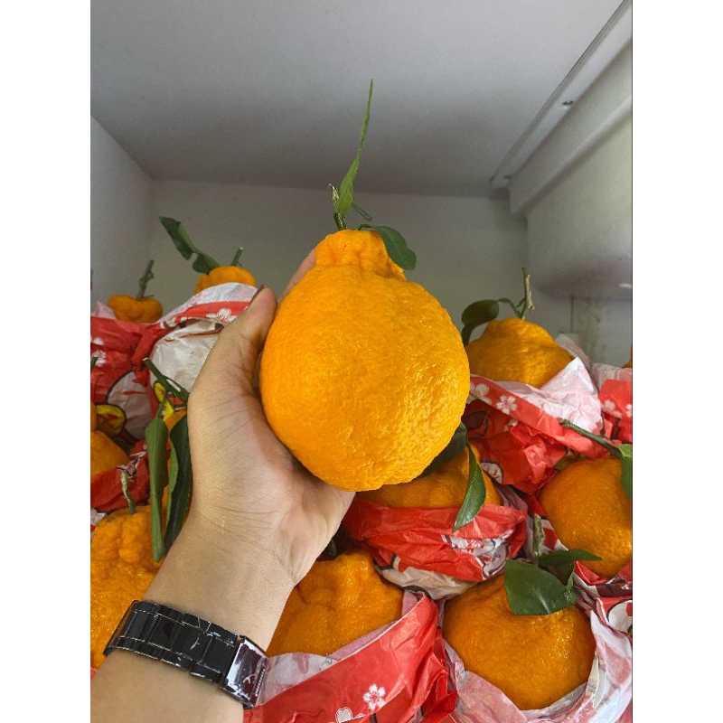 

jeruk kingdekopon 400gr