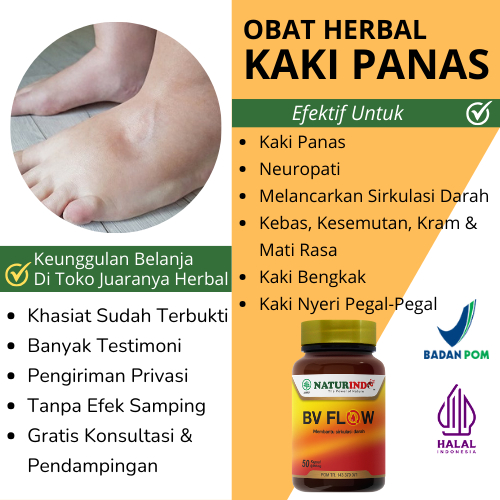 Obat Kaki Panas Neuropati Diabetik Terasa Terbakar Diabetes Kesemutan Kebas Baal Herbal Ampuh BV Flo