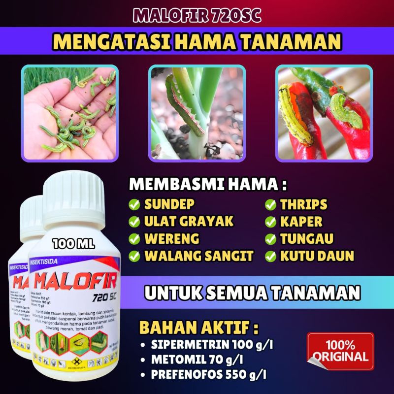 INSEKTISIDA SISTEMIK, SOLUSI PETANI MENGATASI HAMA SUNDEP,ULAT GRAYAK,WERENG,MALOFIR 100 ML