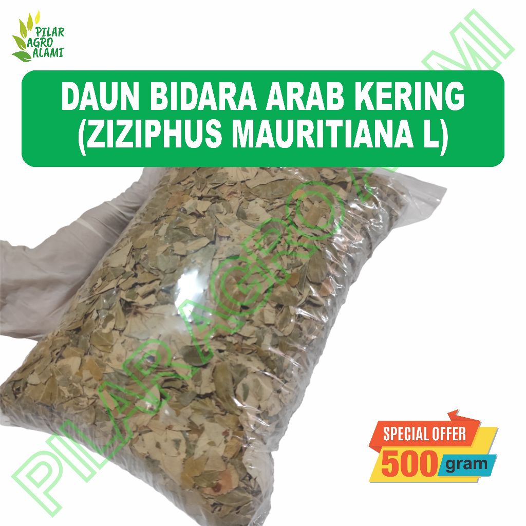 

Daun Bidara Arab Kering 500gr Asli