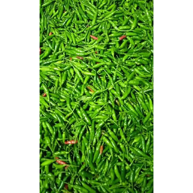 

PROMO CABE RAWIT SEGAR PEDAS MURAH MERIAH 100gr, 250gr |