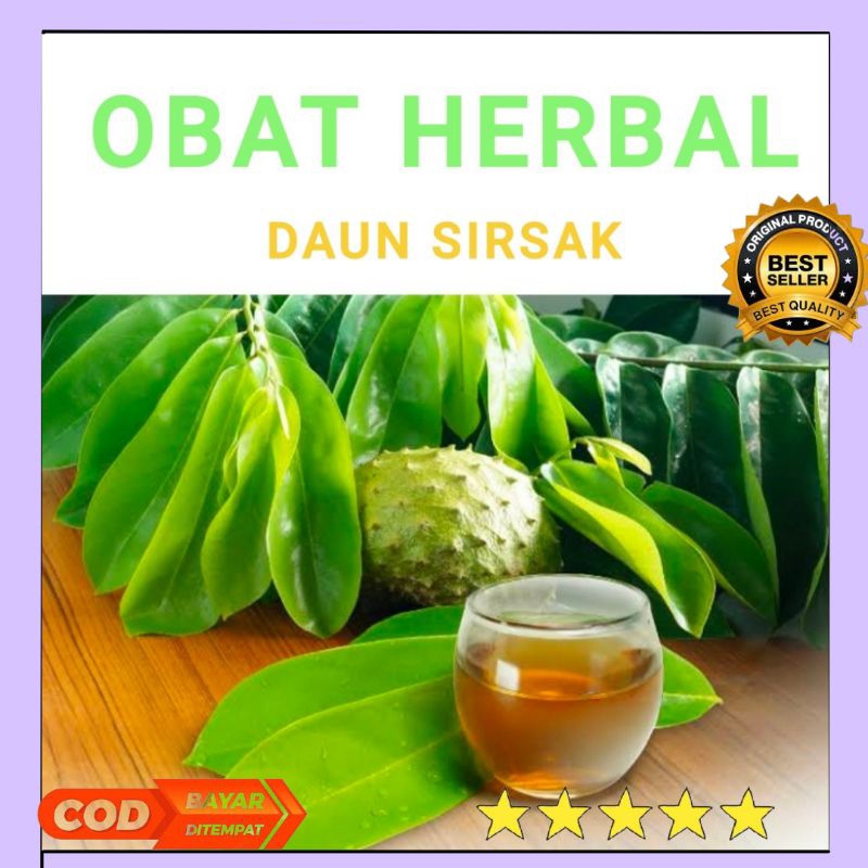 

Daun sirsak fresh dan kering untuk obat herbal