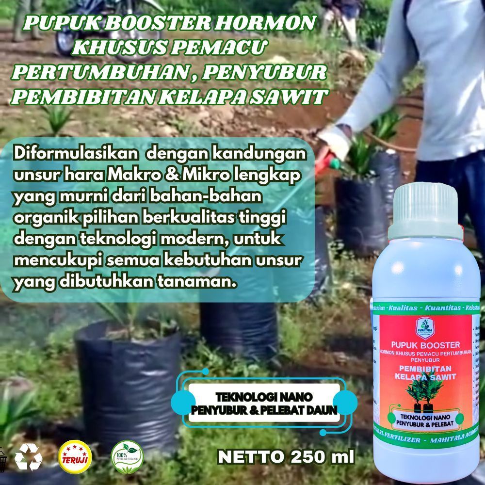Shopritz Pupuk Khusus Bibit Kelapa Sawit Pupuk Bibit Sawit Kecil Pupuk Kecambah Sawit Pupuk Daun
