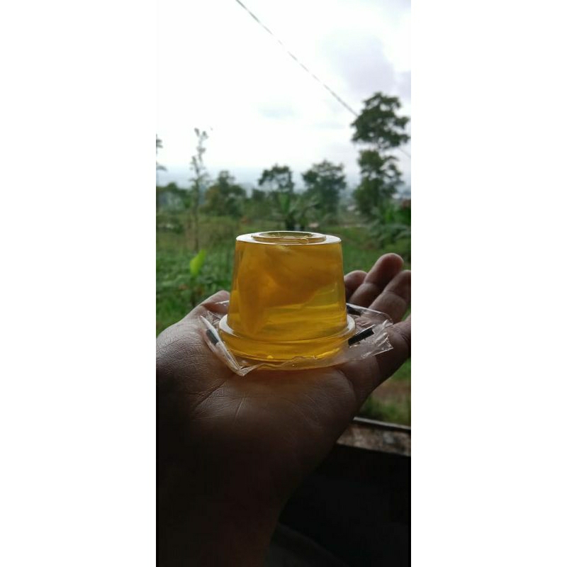 

carica asli dieng kemasan premium & ekonomis isi 10cup