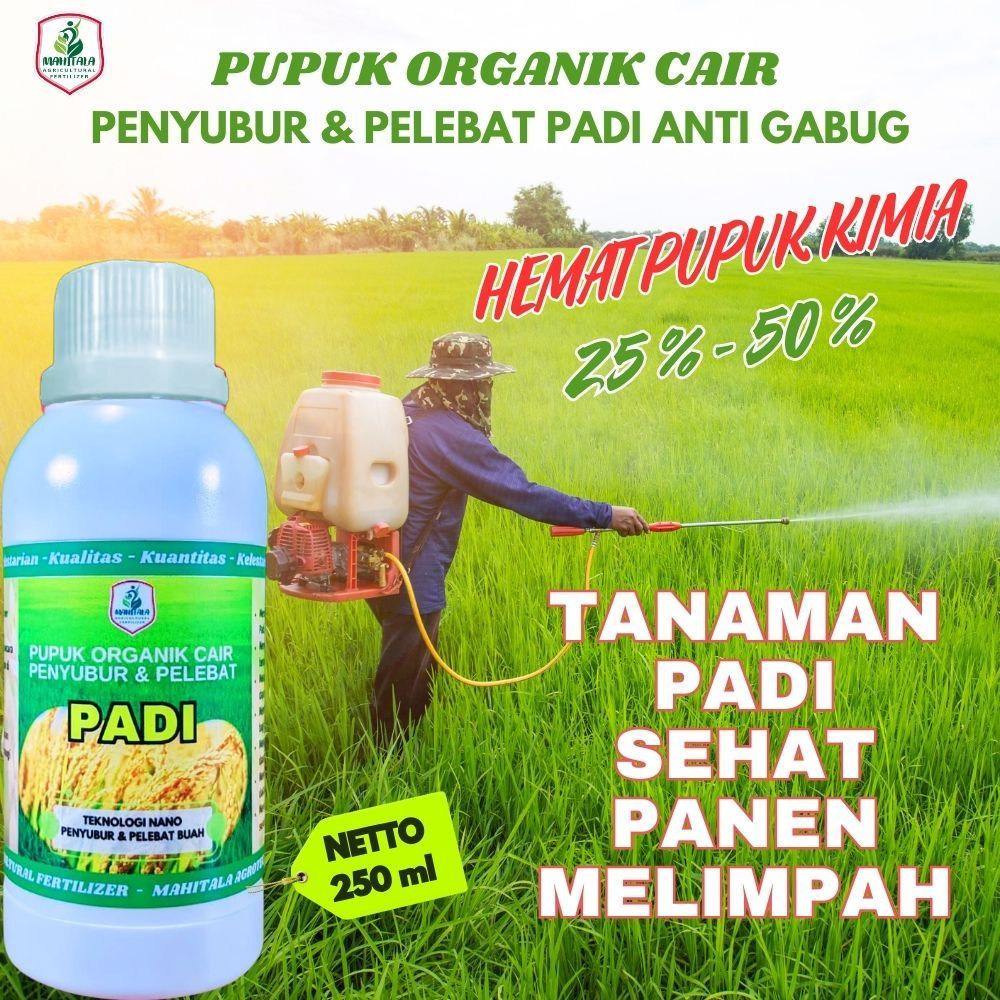 Pupuk Padi Obat Pelebat Padi Pupuk Penyubur Akar Batang Daun Pupuk Cair Memperbanyak Anakan Padi