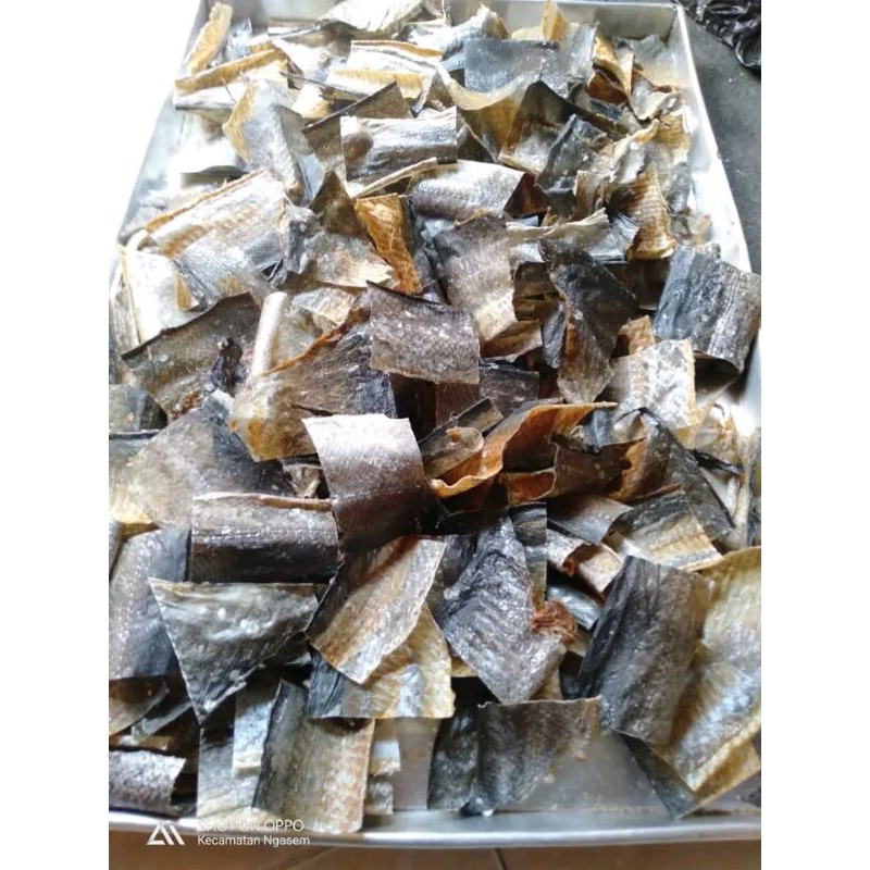 

Krupuk Kulit Ikan Salmon