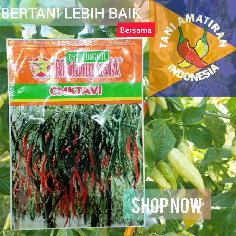 

CMK TAVI 10GR Benih Cabe Tahan Virus BINTANG ASIA