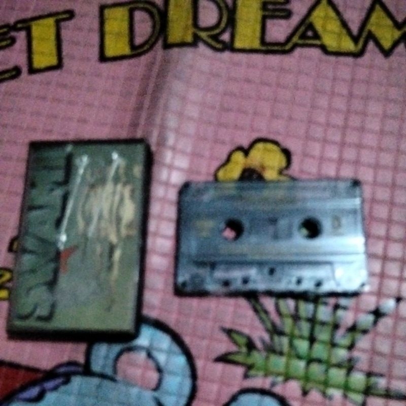 KASET PITA, IWAN FALS,SWAMI