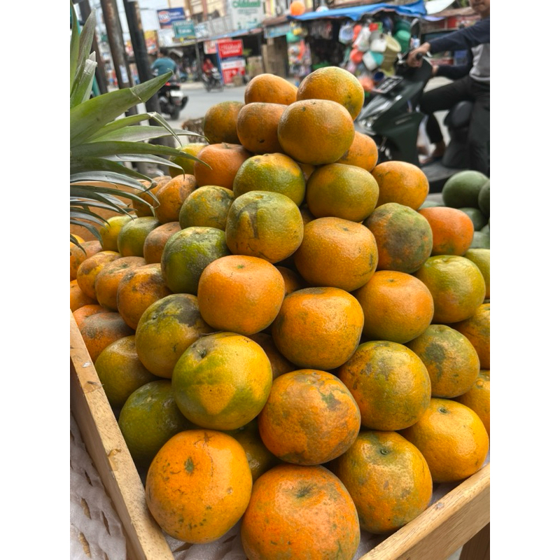 

Jeruk Manis lokal brastagi AB per kilo / Buah biji dingin