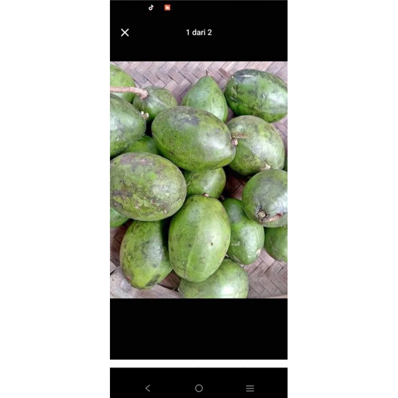 

Kedondong mengkel lokal jatim 1kg