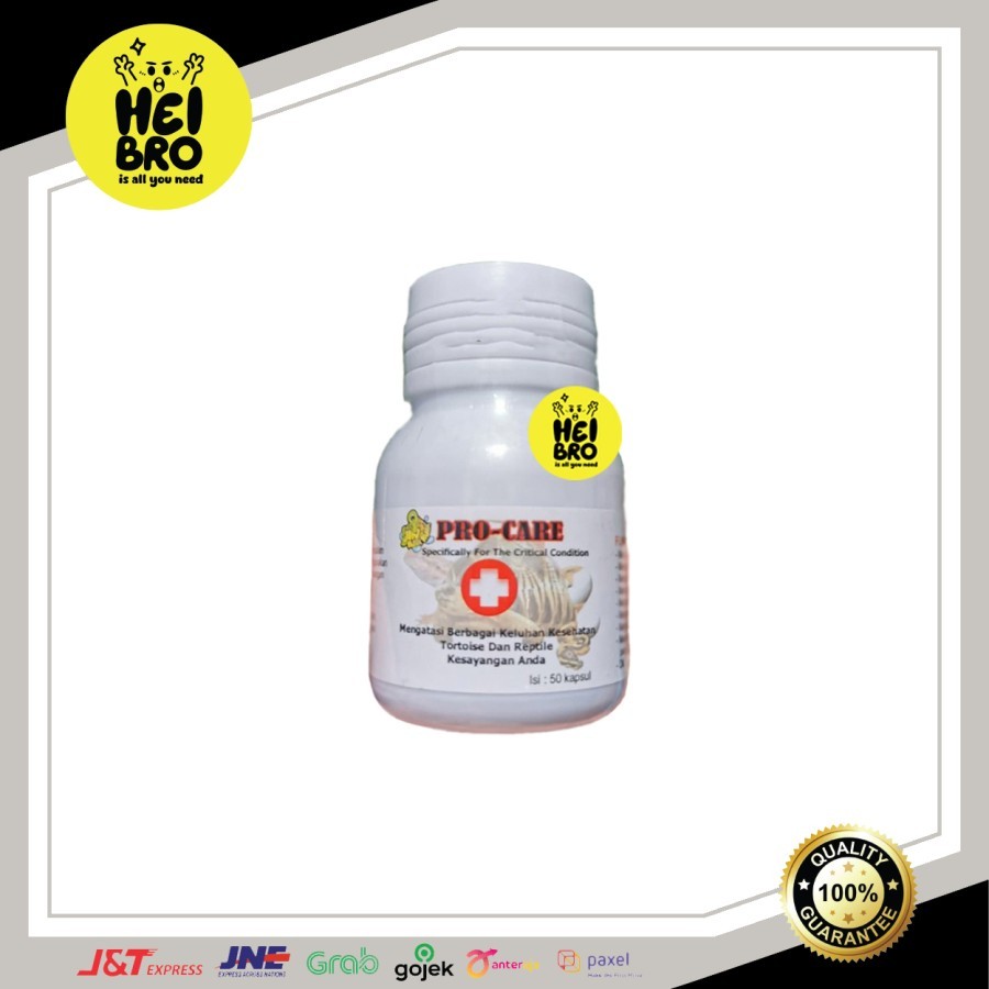 PROCARE OBAT PILEK KURA OBAT KURA OBAT NAPSU MAKAN KURA OBAT REPTIL