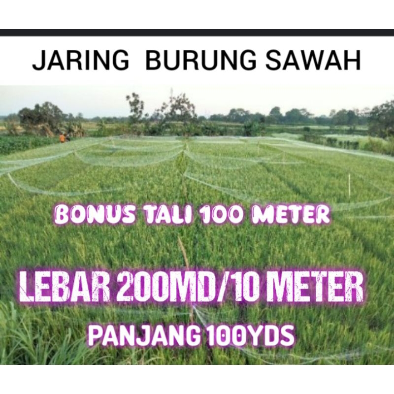 JARING SAWAH LEBAR 10 METER  LUBANG 2 INCH SENAR TEBAL 0.15 mm jaring padi jaring burung pipit jarin