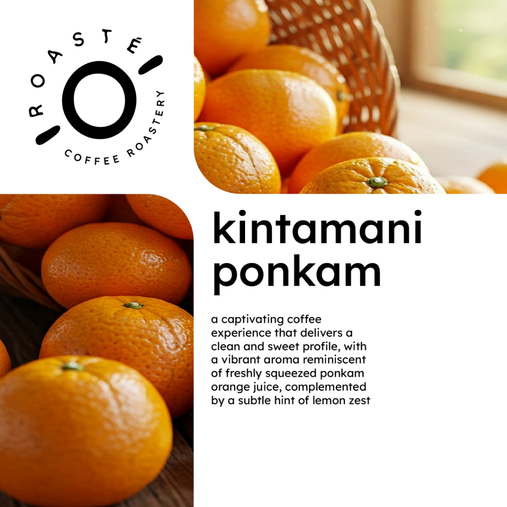 

Kintamani Ponkam 200 gr - Kopi Coffee Kintamani Full Washed Arabica Espresso V60