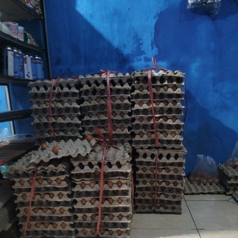 

TelurAyamNegriTermurah