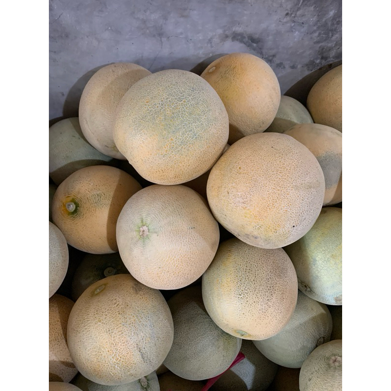 

Melon Madu Fresh