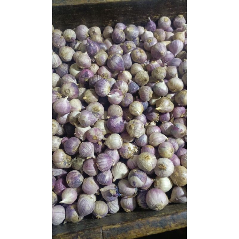 

bawang tunggal lanang putih 500gram