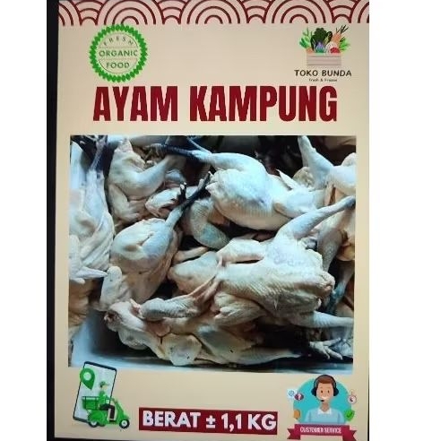 

Ayam Kampung 1kg up