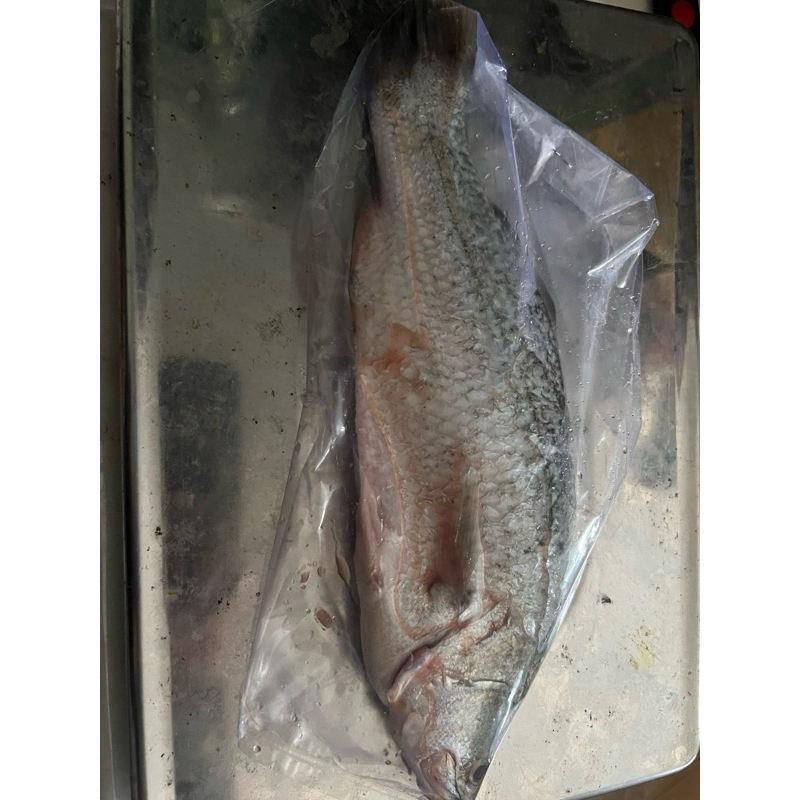 

Ikan Cukil per ekor berat -+225gr