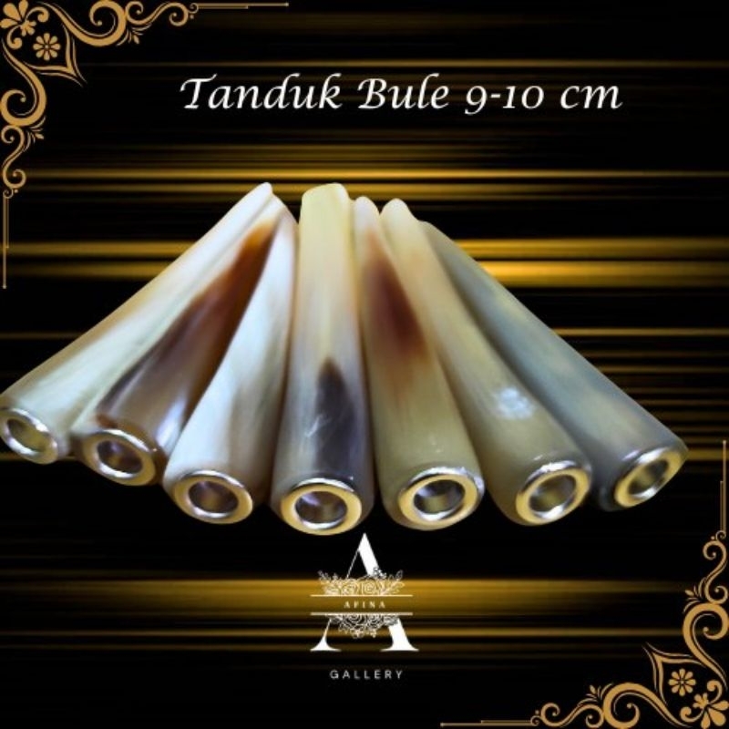 ONCE PIPA TANDUK KERBAU BULE