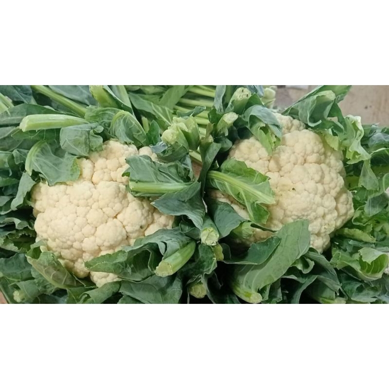 

sayur mayur kembang kol 500gr/1kg